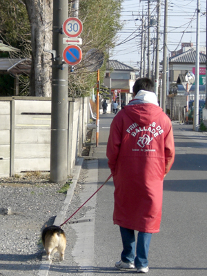 我が家は毎年こんな感じでのんびりとした年越しです。